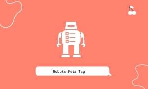 robots meta tag
