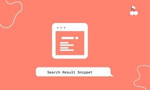 search result snippet